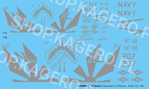 Kagero 41001 Grumman F-14 TOMCAT EN/PL – imagen 2