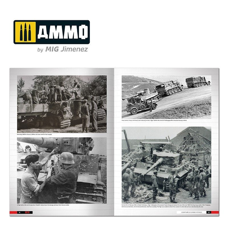 Ammo of Mig 6273 Tigers – Modelling the Ryefield Family (English) – Bild 3