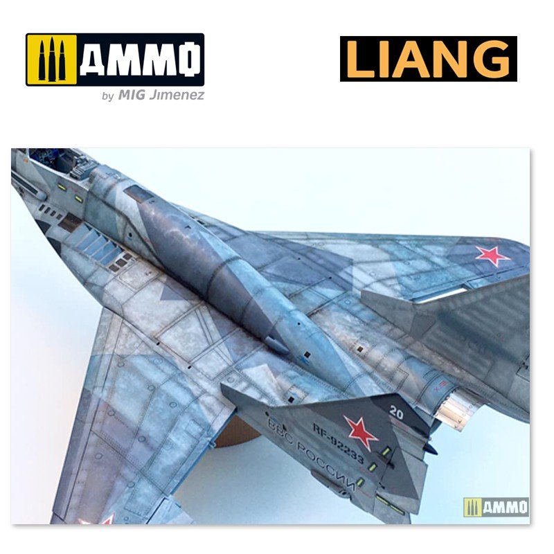 Liang 0007 Pochoirs pour aérographe Effets de vieillissement salin (Intensif) – image 9