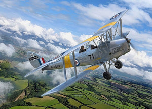 Revell 03827 D.H. 82 Tiger Moth 1/32 – imagen 2