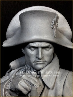 Young Miniatures YH1846 NAPOLÉON à Austerliz 1/10 – image 8
