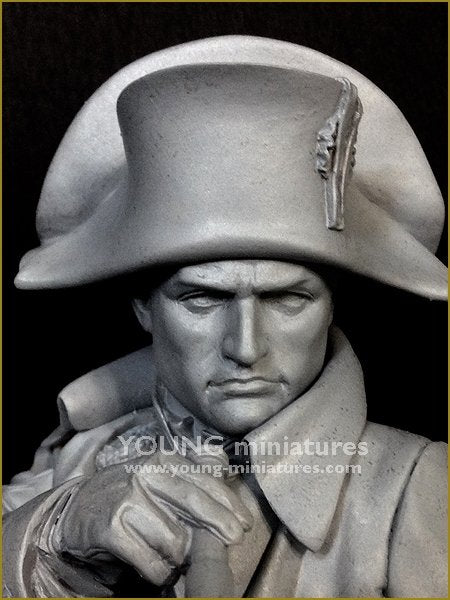Young Miniatures YH1846 NAPOLÉON à Austerliz 1/10 – image 8