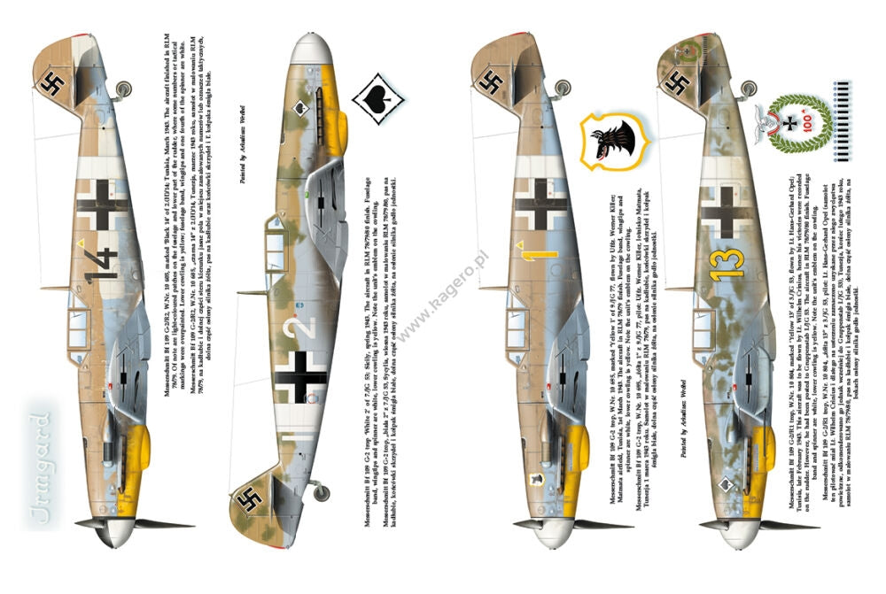 Kagero 12010 Luftwaffe over Tunisia vol. II February – May 1943 EN – immagine 4