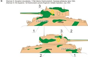 ToRo Model 35D30 - Polish Shermans in Italy, 2nd Polish Corps 1945 vol.2 1/35 – imagen 3