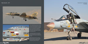 HMH Publications DH-037 Grumman F-14 Tomcat - Aircraft in Detail 037 (English Version) – immagine 3