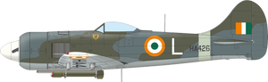 Eduard 11164 The Ultimate Tempest Limited Edition 1/48 – immagine 14