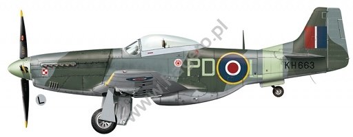 Kagero KD32003 Mustangs over Europe Part 1 Nos. 303 &amp;amp; 309 Squadrons 1/32 – imagen 6