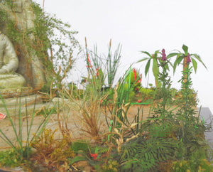 RT-Diorama 35622 Ground Palm leaves No.1 1/35 – immagine 4