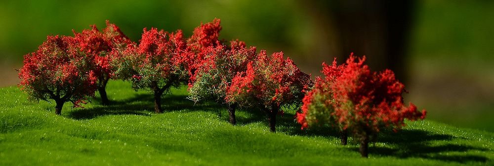 FREON KRZROZA Shrubs rose - Krzewy róże 2/4cm (10 pcs)