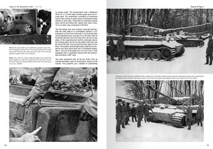 Abteilung 502 ABT760 TANKS OF THE WEHRMACHT WWII · CARLOS DE DIEGO VAQUERIZO – image 5