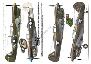 Kagero 3040 Curtiss P-40 vol. II EN – imagen 5