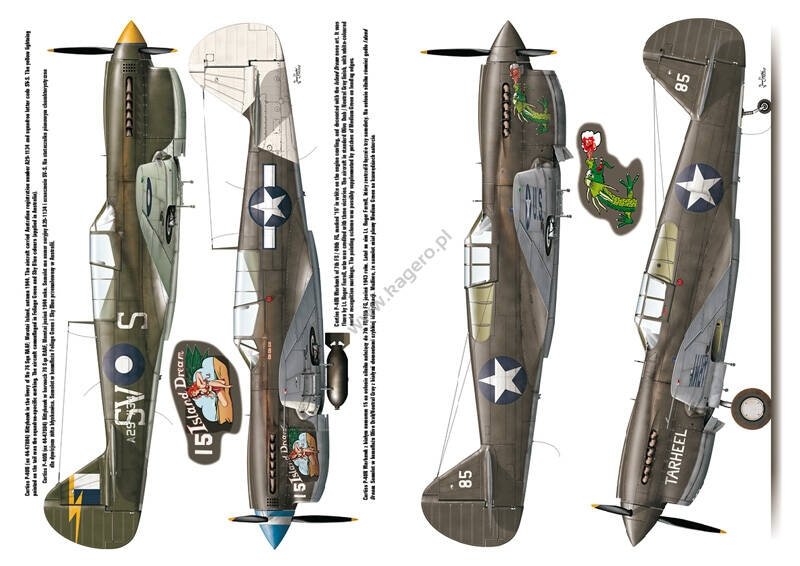 Kagero 3040 Curtiss P-40 vol. II EN – imagen 5