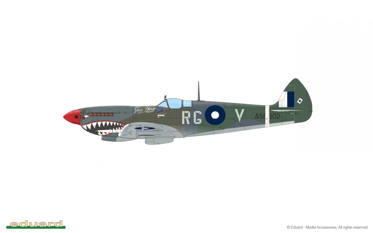 Eduard 84154 Spitfire Mk.VIII Weekend edition 1/48 – zdjęcie 7