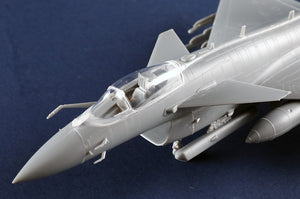 Trumpeter 01690 PAF J-10CE Multi-Role Fighter &amp; IAF Rafale 2 in 1 1/72