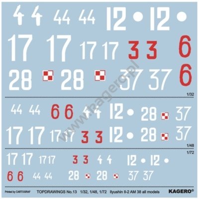 Kagero 7013 Ilyushin Il-2 AM-38 all models EN/PL – immagine 3