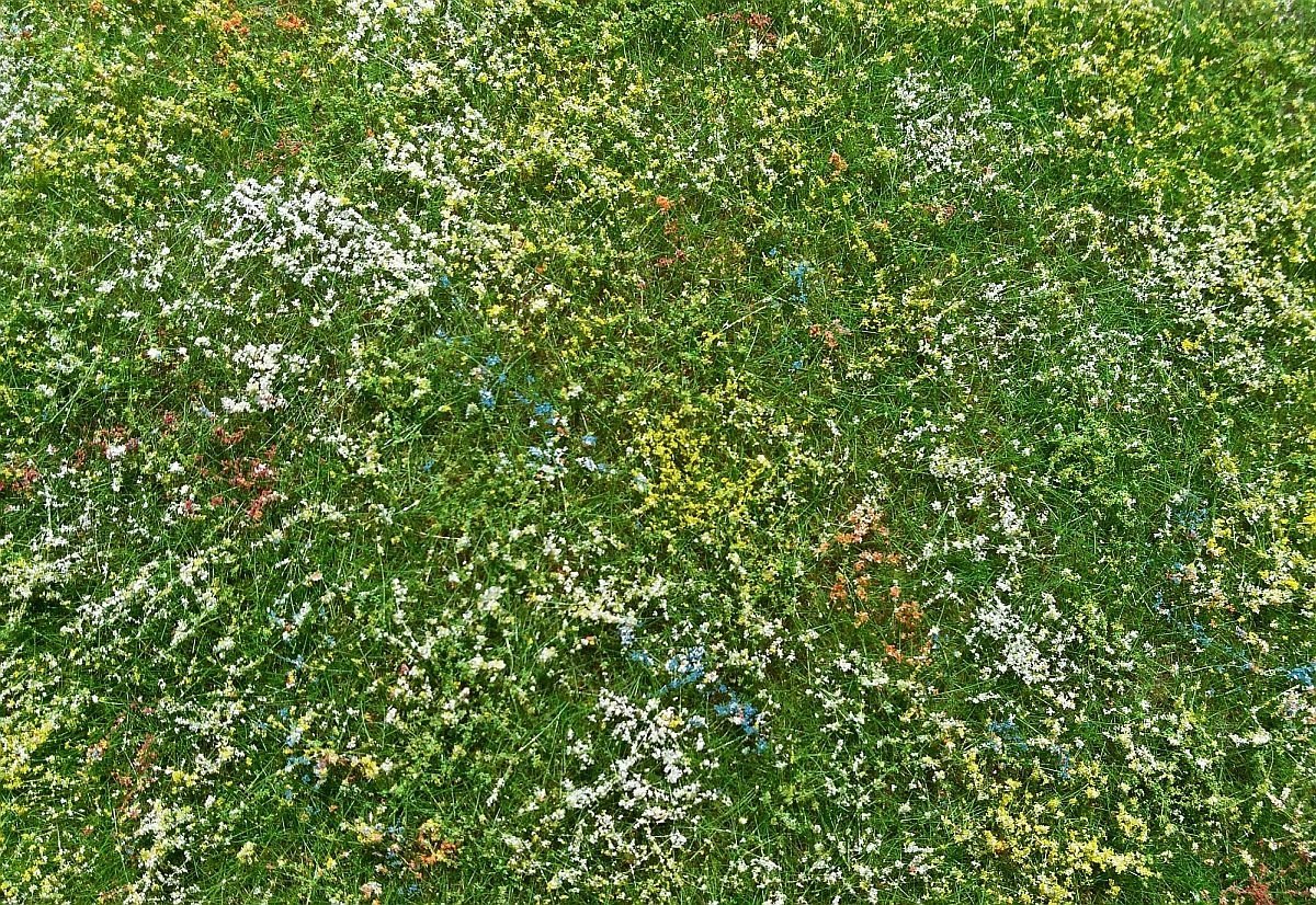Model Scene F562 Blooming meadow - early summer – Bild 2