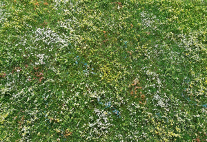 Model Scene F562 Blooming meadow - early summer – Bild 2