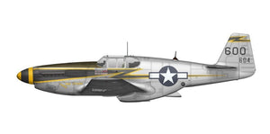 Arma Hobby 70068 F-6C Mustang 1/72 – imagen 4