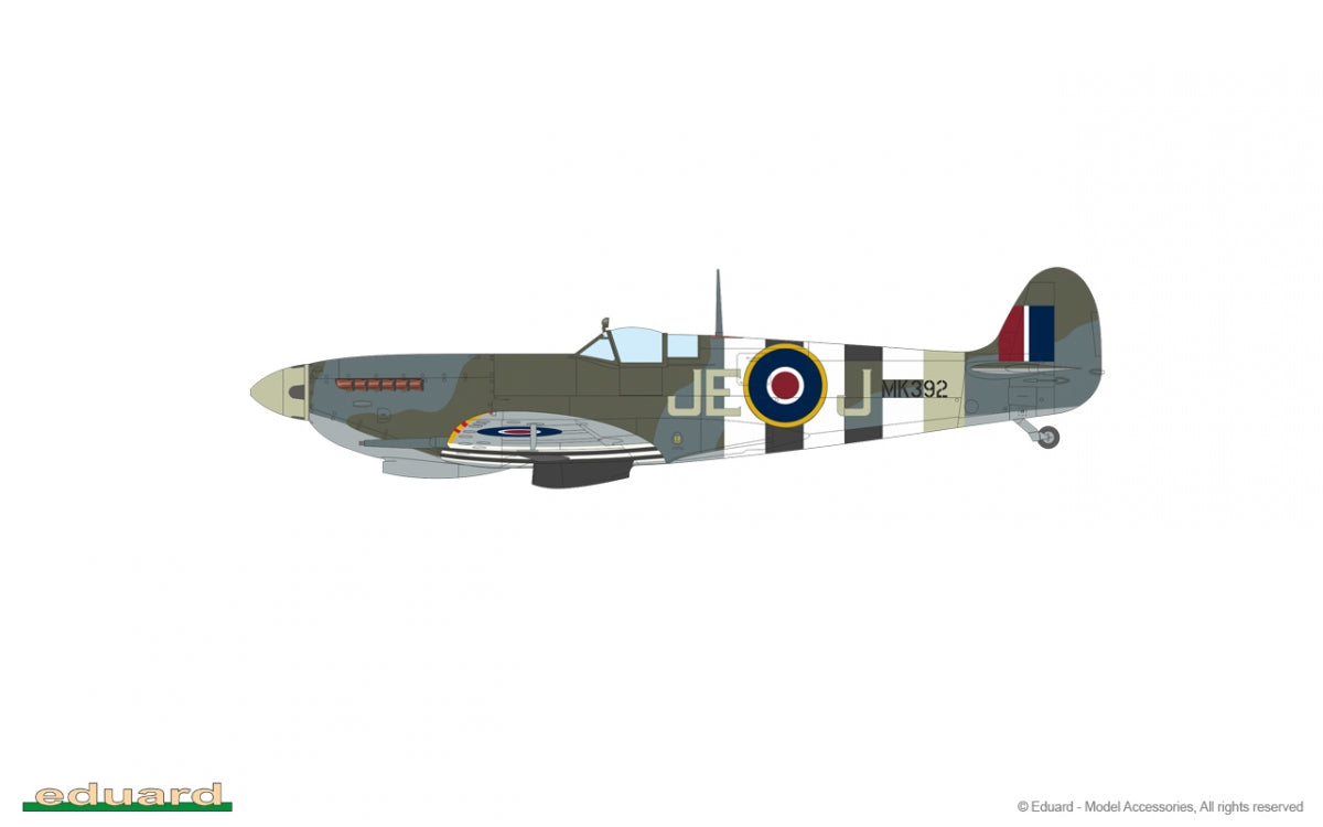 Eduard 84199 Spitfire Mk. IXc late 1/48 – immagine 4
