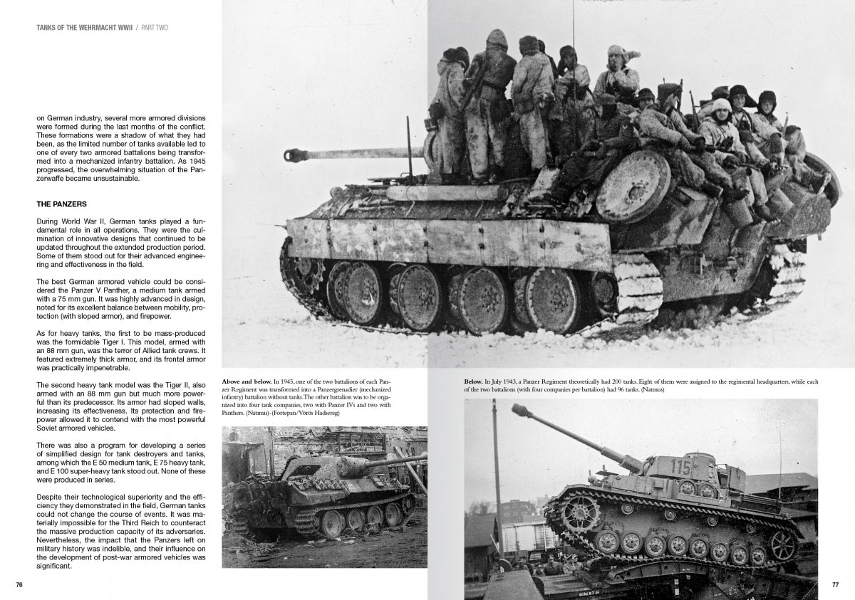 Abteilung 502 ABT760 TANKS OF THE WEHRMACHT WWII · CARLOS DE DIEGO VAQUERIZO – image 4