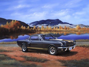 Revell 07242 Shelby Mustang GT 350 H 1/24 – imagen 2