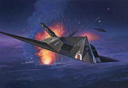 Revell 04699 Lockheed F-117A NIGHTHAWK 1/48 – image 2