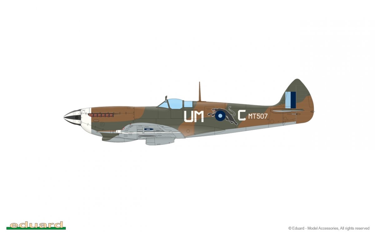 Eduard 84154 Spitfire Mk.VIII Weekend edition 1/48 – zdjęcie 5
