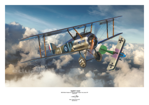 Eduard 8486 Sopwith F.1 Camel (Clerget) 1/48 – imagen 2