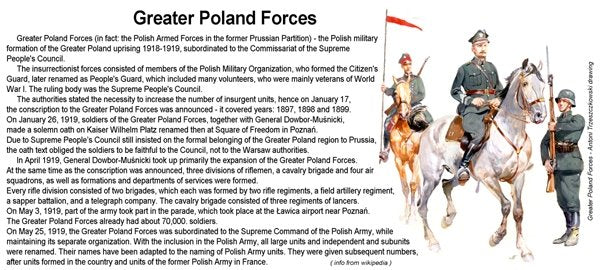ToRo Model 35F117 - Greater Poland Forces 1919 - Lt Col Wladyslaw Anders Commander of the 1st Greater Poland Uhlan Regiment, Babruysk area, summer 1919 1/35 – immagine 7