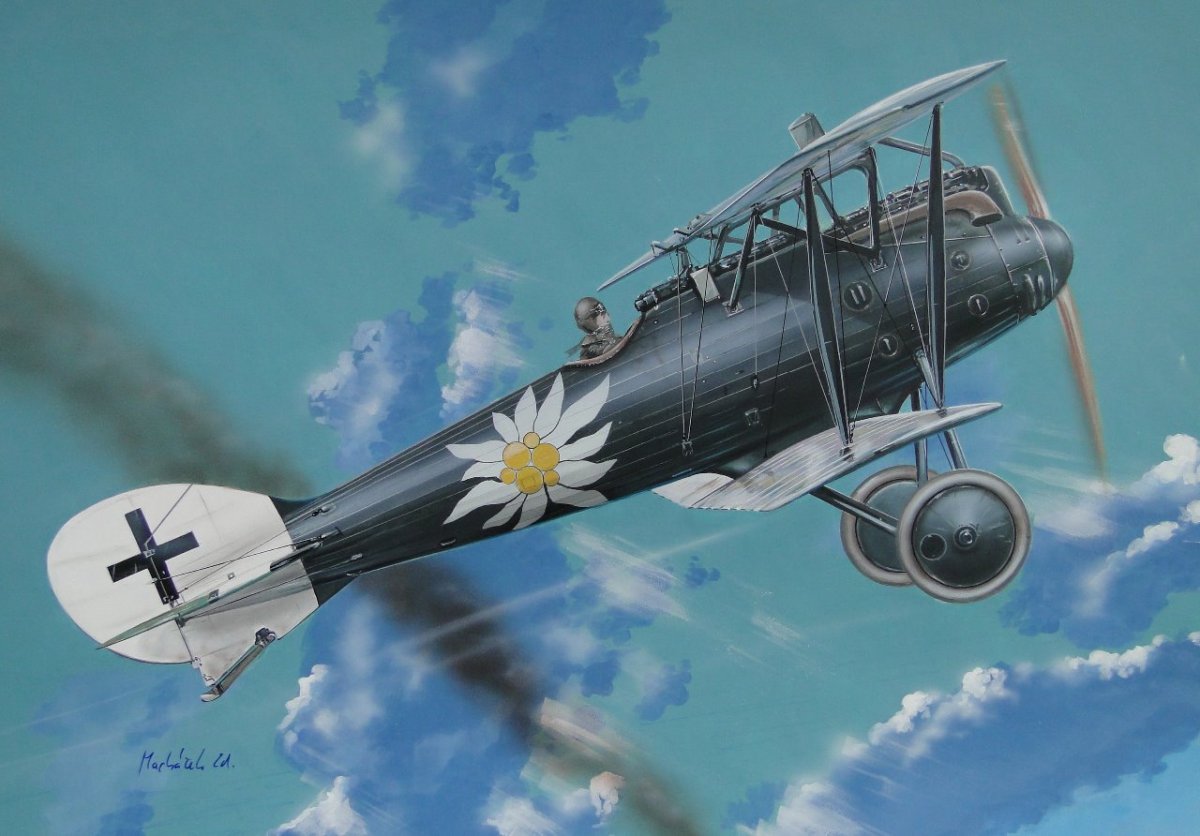 Fly 48014 Roland D VI à l&amp;#39;échelle 1/48  – image 2