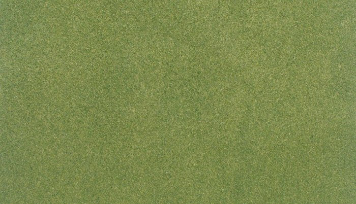 Woodland Scenic RG5141 Mata &amp;quot;Spring Grass&amp;quot; (31.7 cm x 35.8 cm)