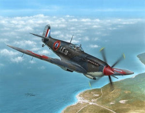 Special Hobby 48138 Supermarine Seafire Mk.III Aeronavale &amp;amp; Irish Air Corps 1/48
