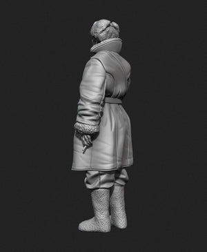 Panzer Art FI35-129 Soviet tank officer in sheepskin coat No.1 1/35 – imagen 2