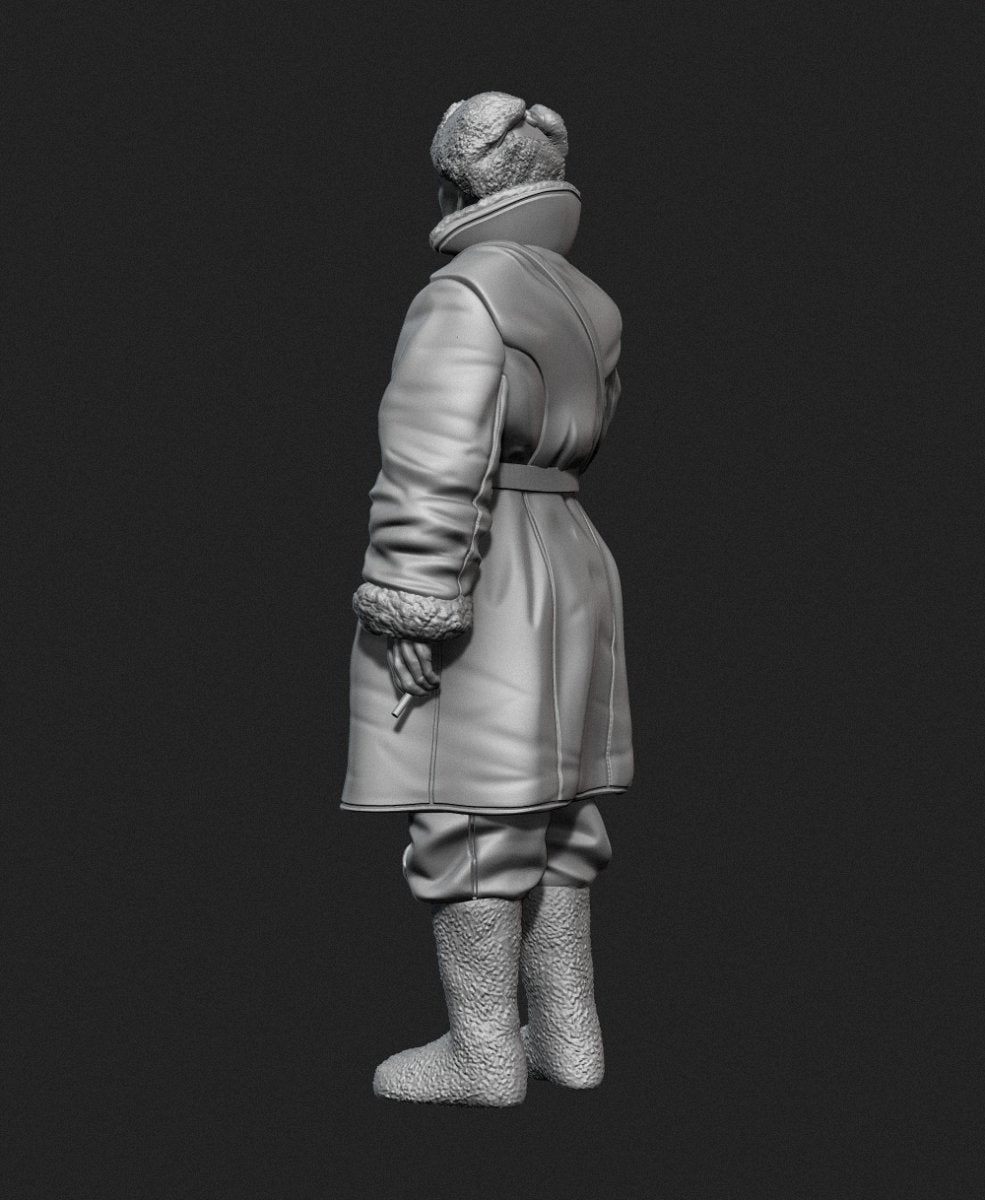 Panzer Art FI35-129 Soviet tank officer in sheepskin coat No.1 1/35 – imagen 2