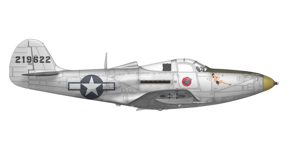 Arma Hobby 40013 P-39 Airacobra RECON 1/48 – immagine 8