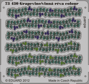 Eduard 73430 Grapevine colour 1/72