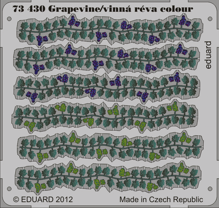 Eduard 73430 Grapevine colour 1/72