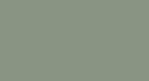 Lifecolor UA824 - Diesel Loco Roof Gray 22ml