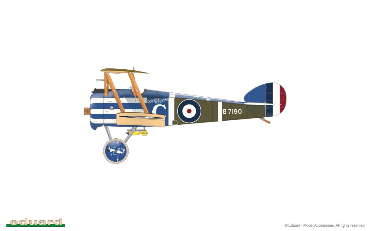 Eduard 11151 Camel &amp;amp; Co. 1/48 – immagine 23