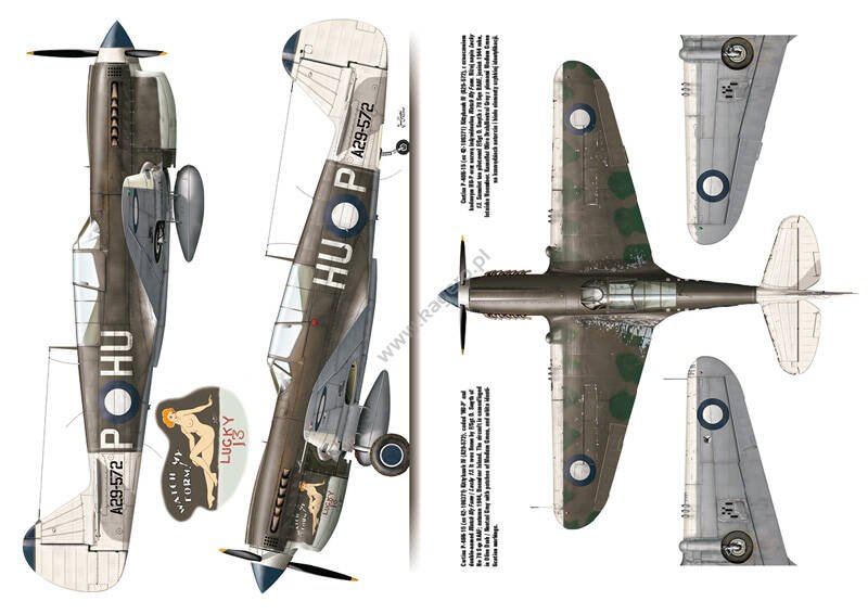 Kagero 3040 Curtiss P-40 vol. II EN – imagen 3